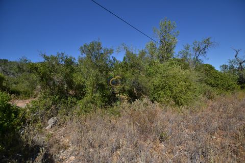 Terra a Paderne, Faro, Paderne - € 49.500 | Ref: P156 - foto 20