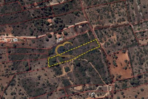Terra a Paderne, Faro, Paderne - € 49.500 | Ref: P156 - foto 21