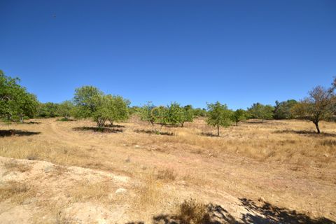 Villa i Algoz, Faro, Algoz - € 350.000 | Ref: P157 - foto 27