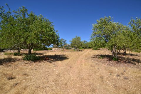 Villa i Algoz, Faro, Algoz - € 350.000 | Ref: P157 - foto 30