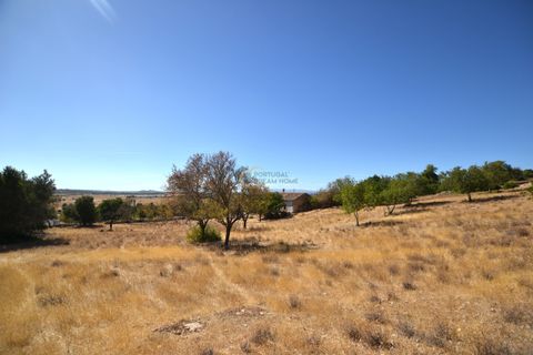 Villa i Algoz, Faro, Algoz - € 350.000 | Ref: P157 - foto 33