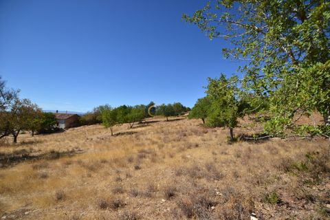 Villa i Algoz, Faro, Algoz - € 350.000 | Ref: P157 - foto 34