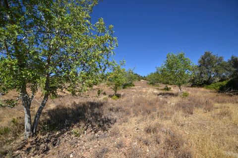 Villa i Algoz, Faro, Algoz - € 350.000 | Ref: P157 - foto 35