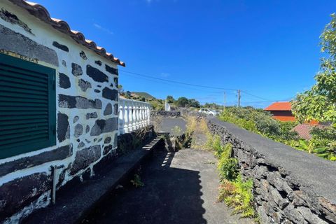 Terra a Horta, Faial, Horta - € 59.000 | Ref: 374250218 - foto 16