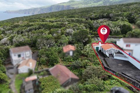 Terra a Horta, Faial, Horta - € 59.000 | Ref: 374250218 - foto 4