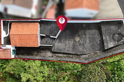 Terra a Horta, Faial, Horta - € 59.000 | Ref: 374250218 - foto 11