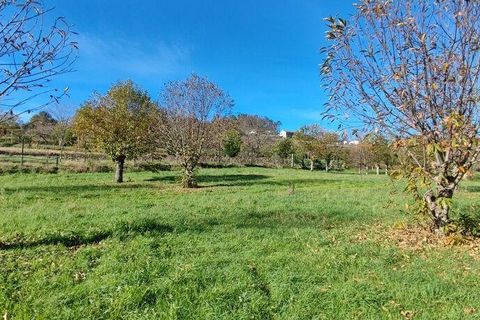 Helårsgrund i Castro Daire, Viseu, Castro Daire - € 19.900 | Ref: 106820 - foto 2
