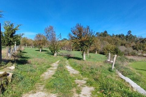 Helårsgrund i Castro Daire, Viseu, Castro Daire - € 19.900 | Ref: 106820 - foto 4