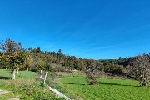Helårsgrund i Castro Daire, Viseu, Castro Daire - € 19.900 | Ref: 106820 - foto 5