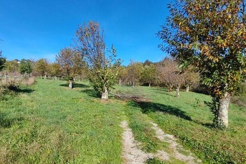 Helårsgrund i Castro Daire, Viseu, Castro Daire - € 19.900 | Ref: 106820 - foto 6