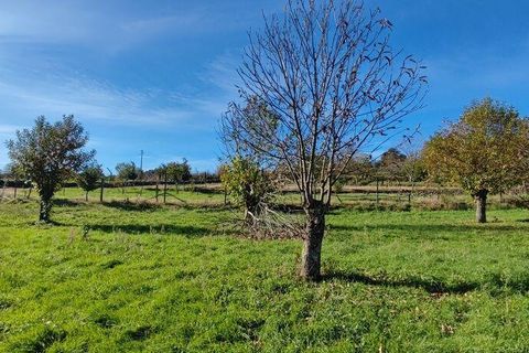 Helårsgrund i Castro Daire, Viseu, Castro Daire - € 19.900 | Ref: 106820 - foto 7
