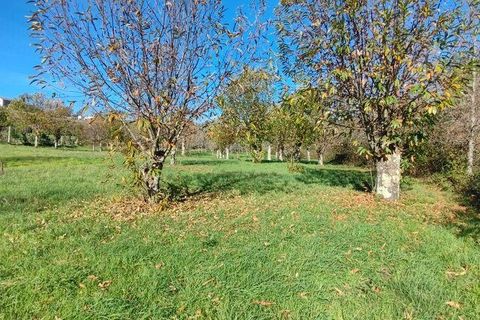 Helårsgrund i Castro Daire, Viseu, Castro Daire - € 19.900 | Ref: 106820 - foto 10