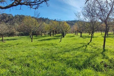 Helårsgrund i Castro Daire, Viseu, Castro Daire - € 19.900 | Ref: 106820 - foto 12