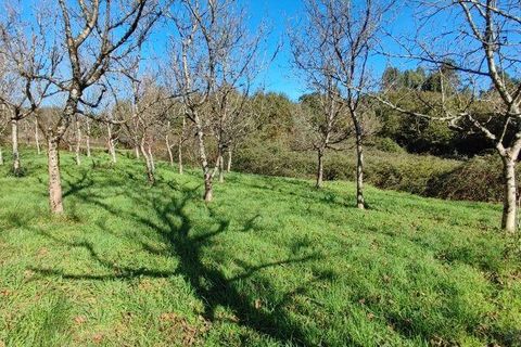 Helårsgrund i Castro Daire, Viseu, Castro Daire - € 19.900 | Ref: 106820 - foto 15