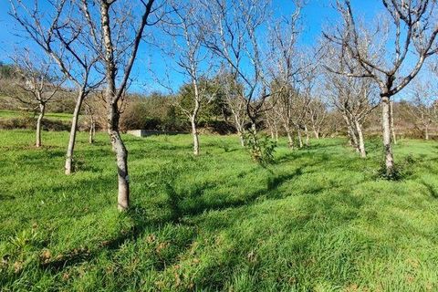 Helårsgrund i Castro Daire, Viseu, Castro Daire - € 19.900 | Ref: 106820 - foto 16