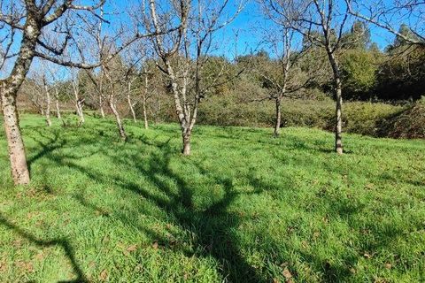 Helårsgrund i Castro Daire, Viseu, Castro Daire - € 19.900 | Ref: 106820 - foto 17