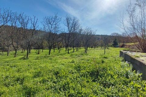 Helårsgrund i Castro Daire, Viseu, Castro Daire - € 19.900 | Ref: 106820 - foto 19