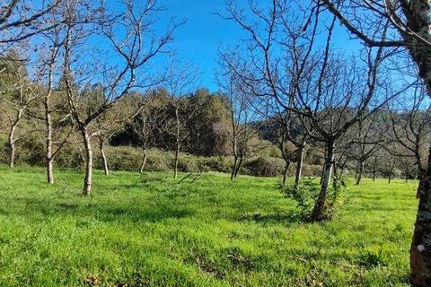 Helårsgrund i Castro Daire, Viseu, Castro Daire - € 19.900 | Ref: 106820 - foto 20