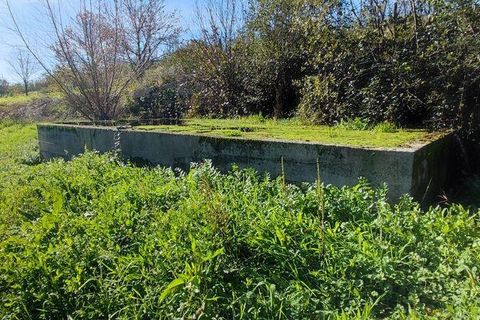 Helårsgrund i Castro Daire, Viseu, Castro Daire - € 19.900 | Ref: 106820 - foto 24