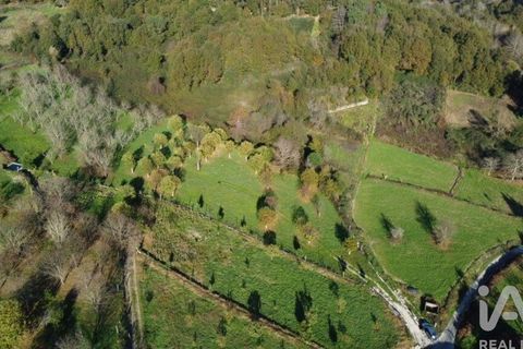 Helårsgrund i Castro Daire, Viseu, Castro Daire - € 19.900 | Ref: 106820 - foto 26