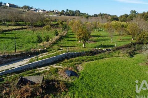 Helårsgrund i Castro Daire, Viseu, Castro Daire - € 19.900 | Ref: 106820 - foto 28