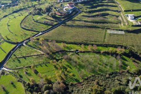 Helårsgrund i Castro Daire, Viseu, Castro Daire - € 19.900 | Ref: 106820 - foto 29