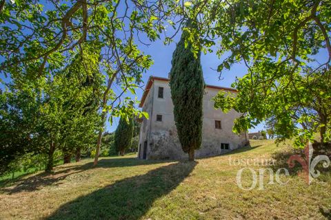 Villa i Volterra, Pisa, Volterra - € 390.000 | Ref: 18075 - foto 14