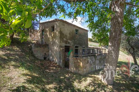 Villa i Volterra, Pisa, Volterra - € 390.000 | Ref: 18075 - foto 18