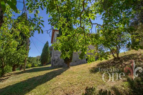 Villa i Volterra, Pisa, Volterra - € 390.000 | Ref: 18075 - foto 23