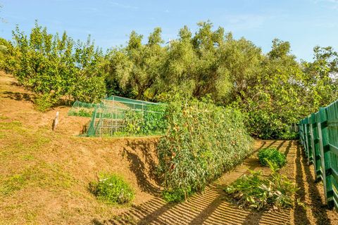 Villa i Pietrasanta, Lucca, Pietrasanta - € 850.000 | Ref: CBI129-2006-130552 - foto 23