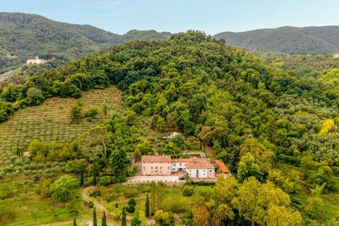 Villa i Lucca, Lucca, Lucca - € 4.100.000 | Ref: CBI129-2006-130553 - foto 30