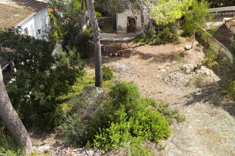 Terra a El Toro, Mallorca, El Toro - € 460.000 | Ref: 4003811 - foto 3