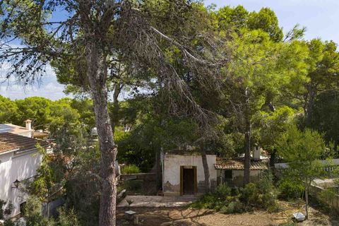 Terra a El Toro, Mallorca, El Toro - € 460.000 | Ref: 4003811 - foto 4