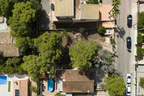 Terra a El Toro, Mallorca, El Toro - € 460.000 | Ref: 4003811 - foto 6