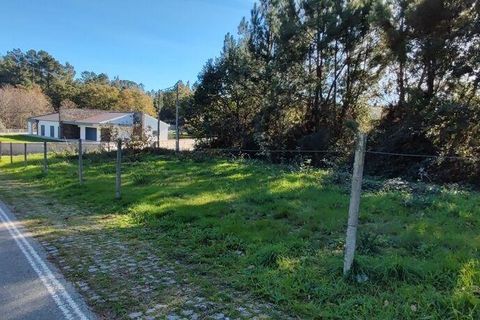 Terra a Castro Daire, Viseu, Castro Daire - € 34.500 | Ref: 106819 - foto 2