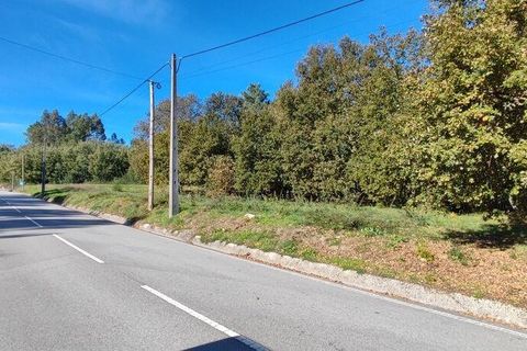 Terra a Castro Daire, Viseu, Castro Daire - € 34.500 | Ref: 106819 - foto 3