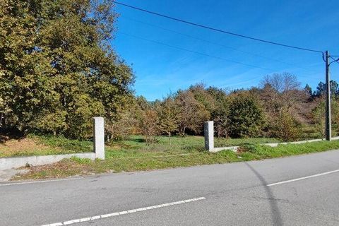 Terra a Castro Daire, Viseu, Castro Daire - € 34.500 | Ref: 106819 - foto 4