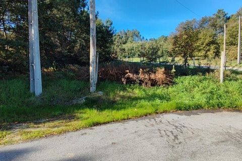 Terra a Castro Daire, Viseu, Castro Daire - € 34.500 | Ref: 106819 - foto 5