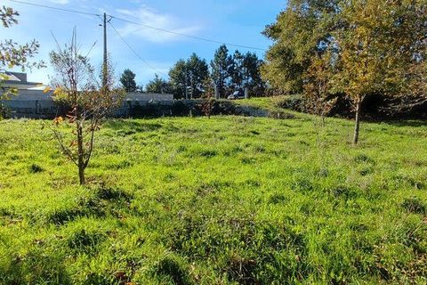 Terra a Castro Daire, Viseu, Castro Daire - € 34.500 | Ref: 106819 - foto 6