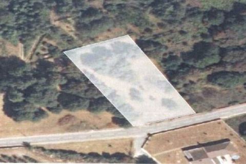 Terra a Castro Daire, Viseu, Castro Daire - € 34.500 | Ref: 106819 - foto 7