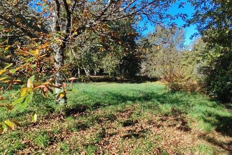 Terra a Castro Daire, Viseu, Castro Daire - € 34.500 | Ref: 106819 - foto 10