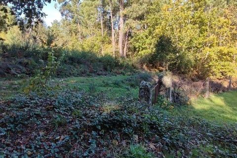 Terra a Castro Daire, Viseu, Castro Daire - € 34.500 | Ref: 106819 - foto 11