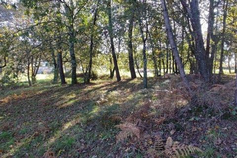 Terra a Castro Daire, Viseu, Castro Daire - € 34.500 | Ref: 106819 - foto 13