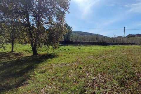 Terra a Castro Daire, Viseu, Castro Daire - € 34.500 | Ref: 106819 - foto 14