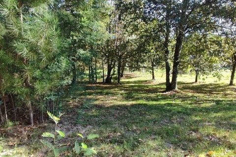 Terra a Castro Daire, Viseu, Castro Daire - € 34.500 | Ref: 106819 - foto 15