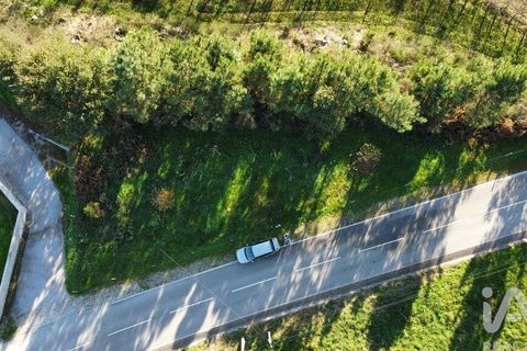 Terra a Castro Daire, Viseu, Castro Daire - € 34.500 | Ref: 106819 - foto 16