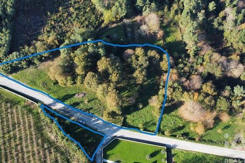 Terra a Castro Daire, Viseu, Castro Daire - € 34.500 | Ref: 106819 - foto 17