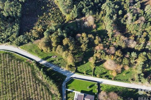 Terra a Castro Daire, Viseu, Castro Daire - € 34.500 | Ref: 106819 - foto 18