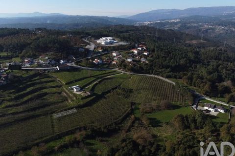 Terra a Castro Daire, Viseu, Castro Daire - € 34.500 | Ref: 106819 - foto 19