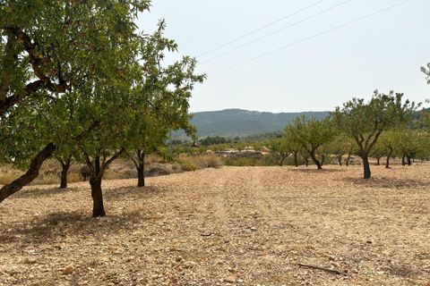 Landejendom i Monovar, Alicante, Monovar - € 70.000 | Ref: EXP11232/8930 - foto 2